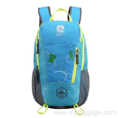 Leisure Outdoor Sports Mountaineering Backpack Customization